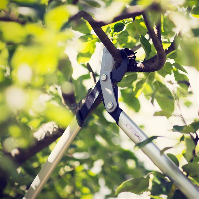Fiskars LX94-M PowerGear X Bypass-Getriebeastschere