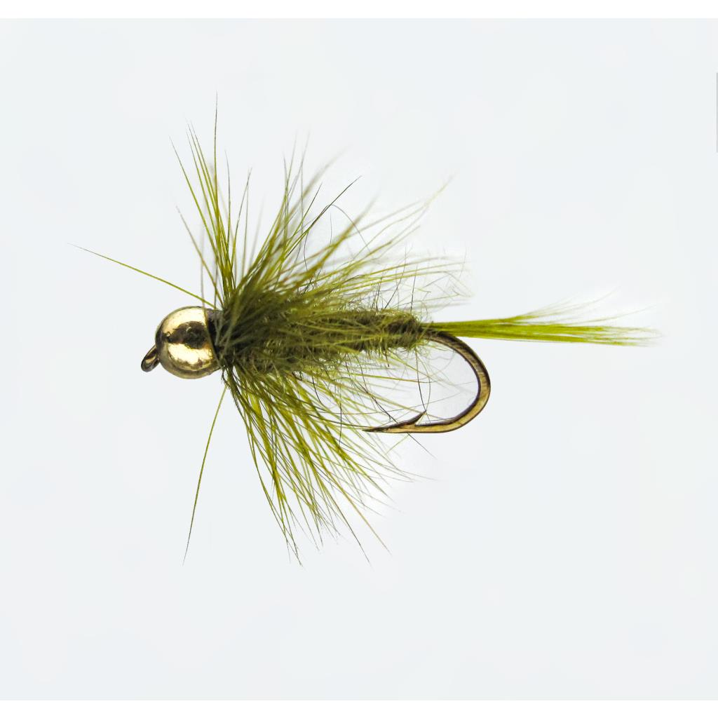 Jenzi Nymphe mit Goldkopf Olive