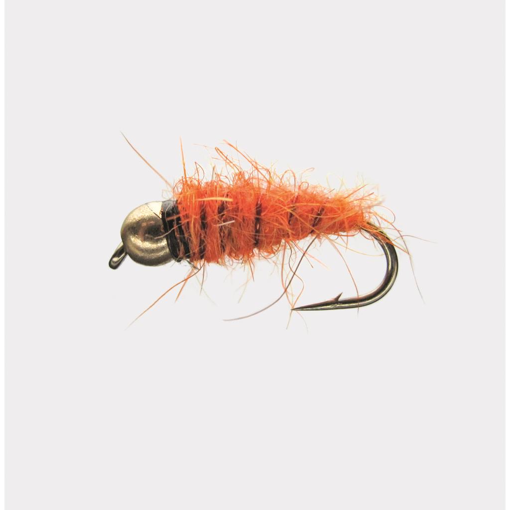 Jenzi Nymphe mit Goldkopf Orange