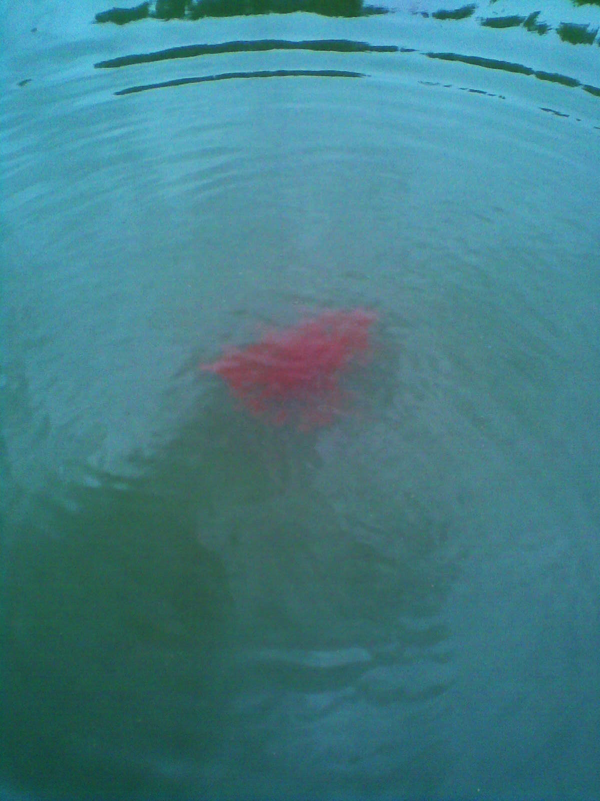 FTM Amino Flash Wolkenbildner