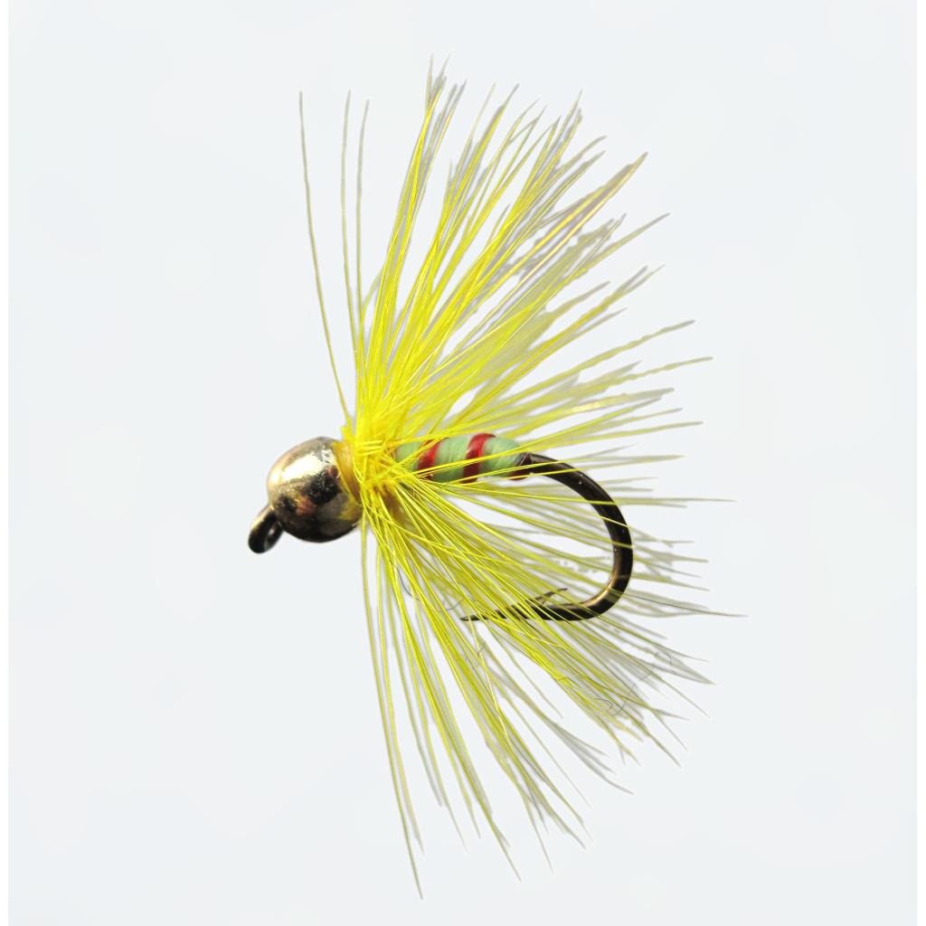 Jenzi Nymphe mit Goldkopf Yellow