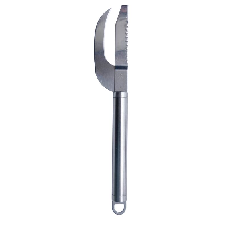 Jenzi Fischschupper mit Messer 20 cm Hartholzgriff zum Schuppen und Ausnehmen