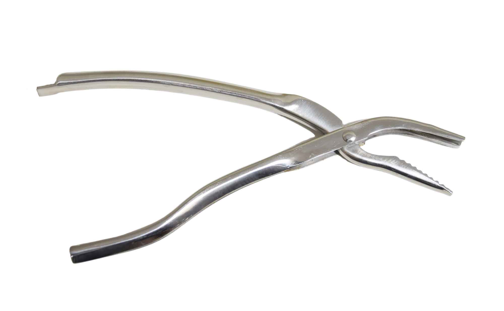 Wabenzange für Warmbau, 22 cm