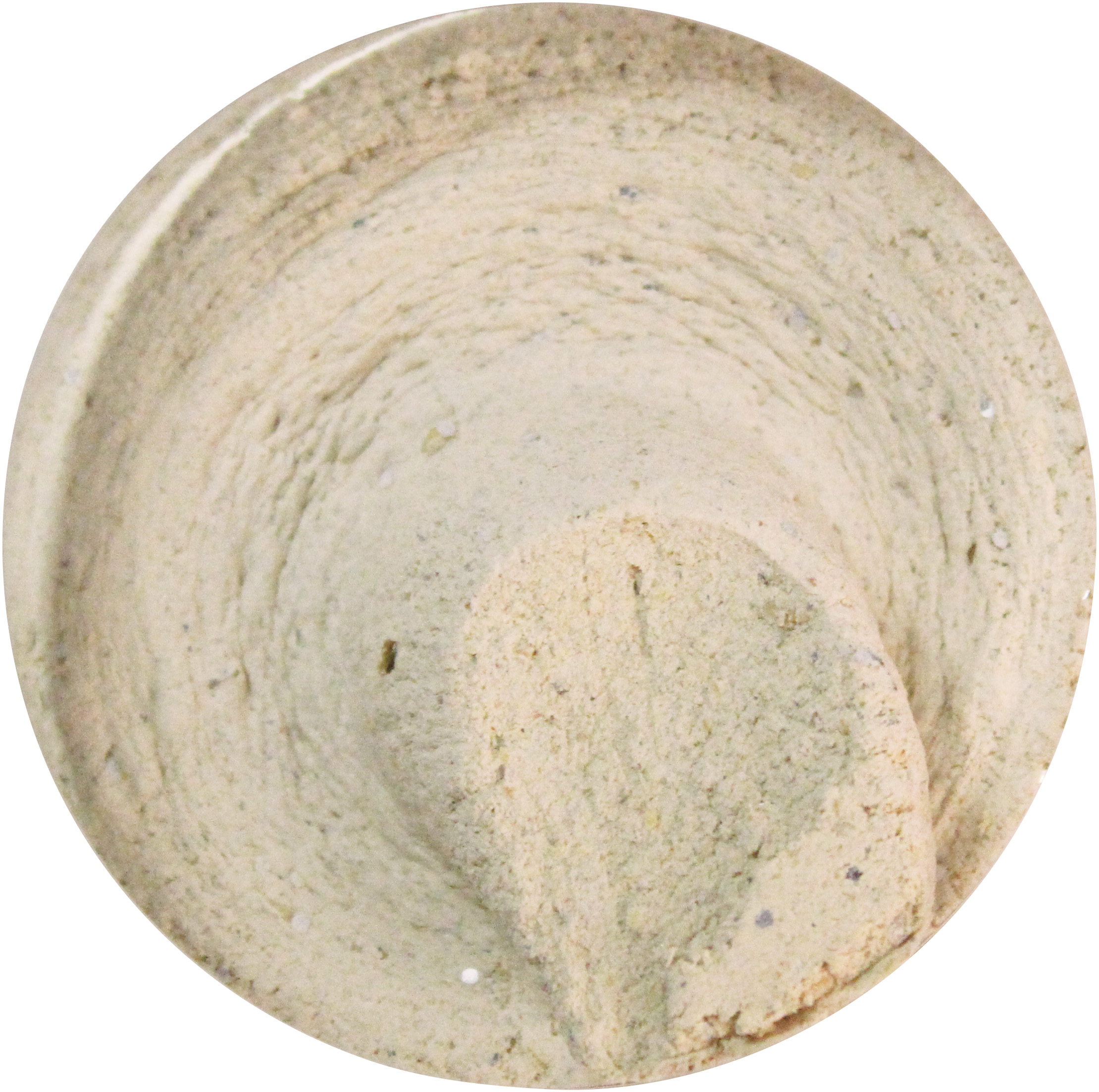 FTM Amino Flash Faulenzer Teig - Neonweiß Knoblauch - 100g