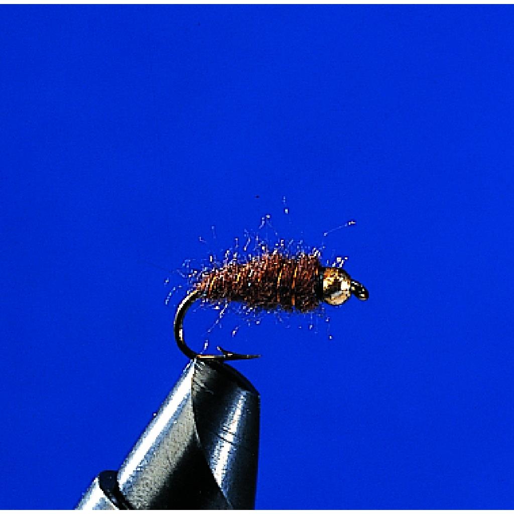 Jenzi Nymphe mit Goldkopf Brown