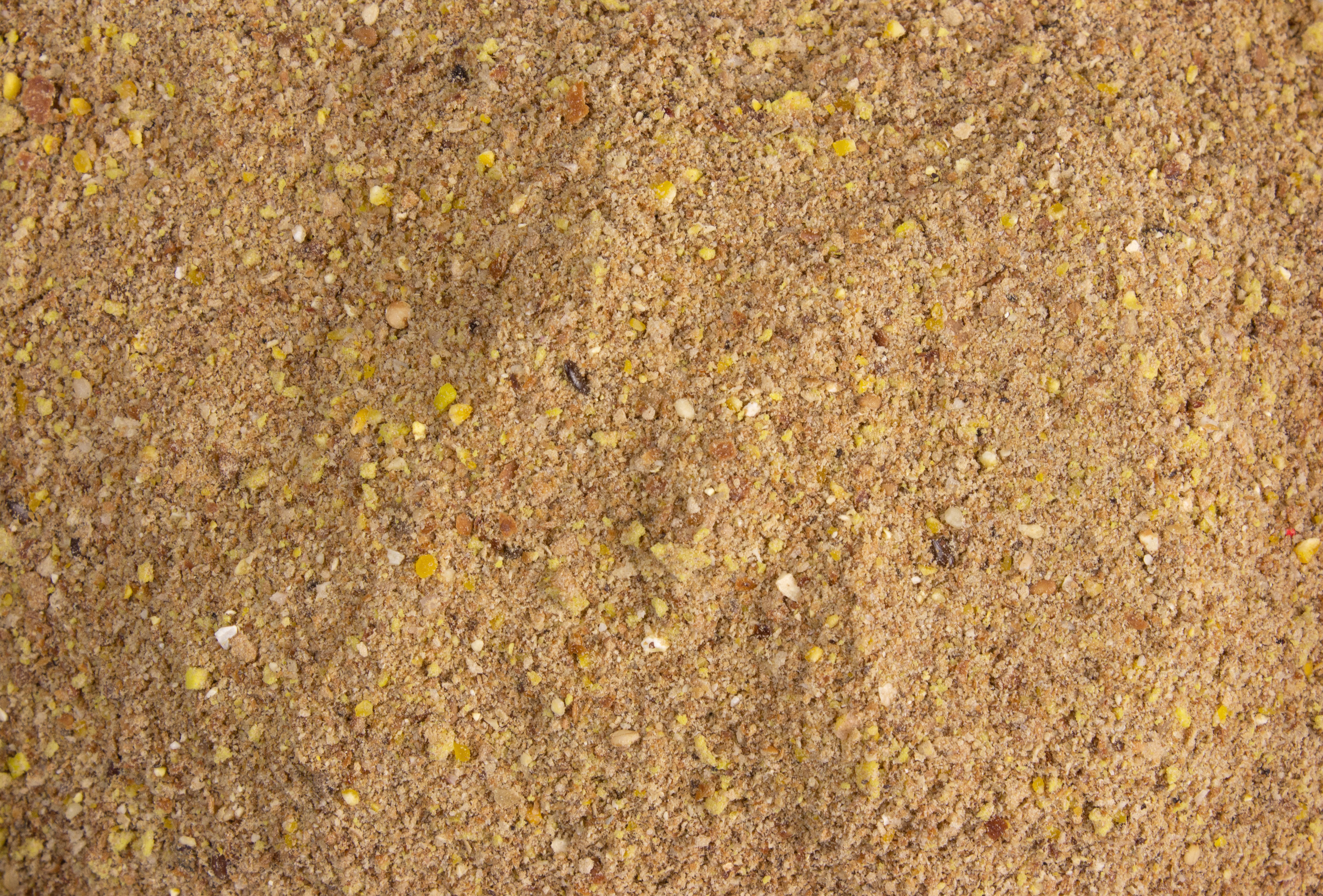 FTM World Champion Series Etang