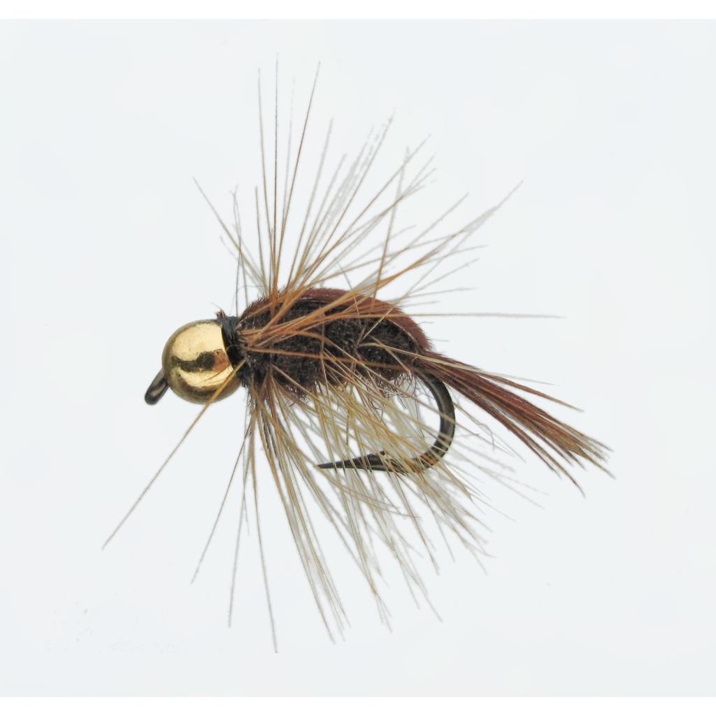 Jenzi Nymphe mit Goldkopf Shrimp