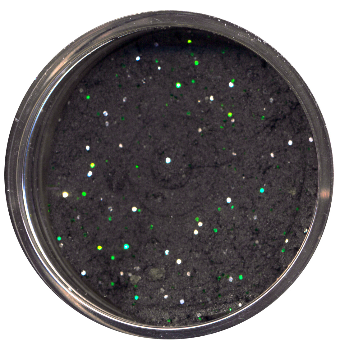 FTM Trout Finder Bait Knoblauch Glitter