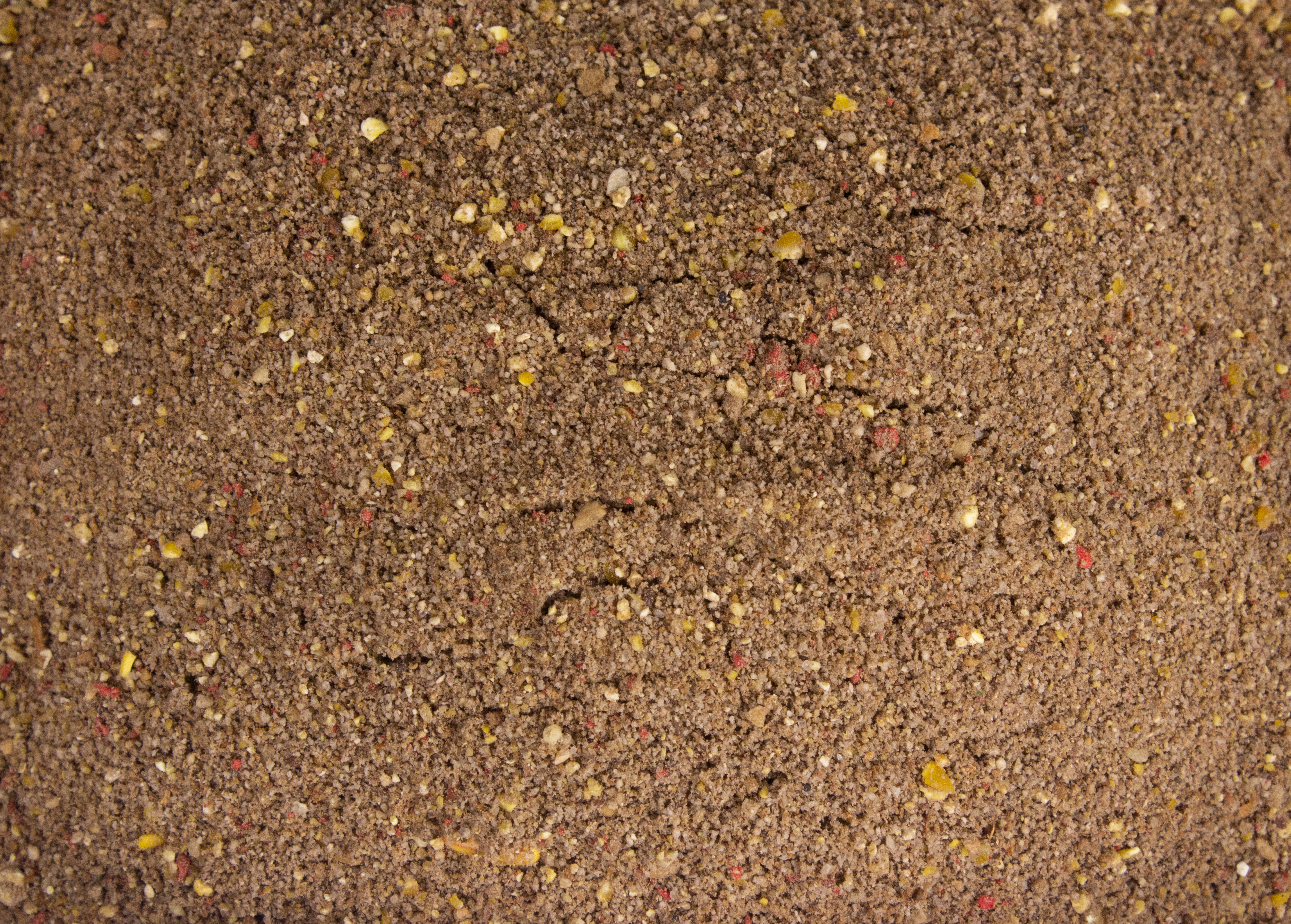 FTM World Champion Series Brassen