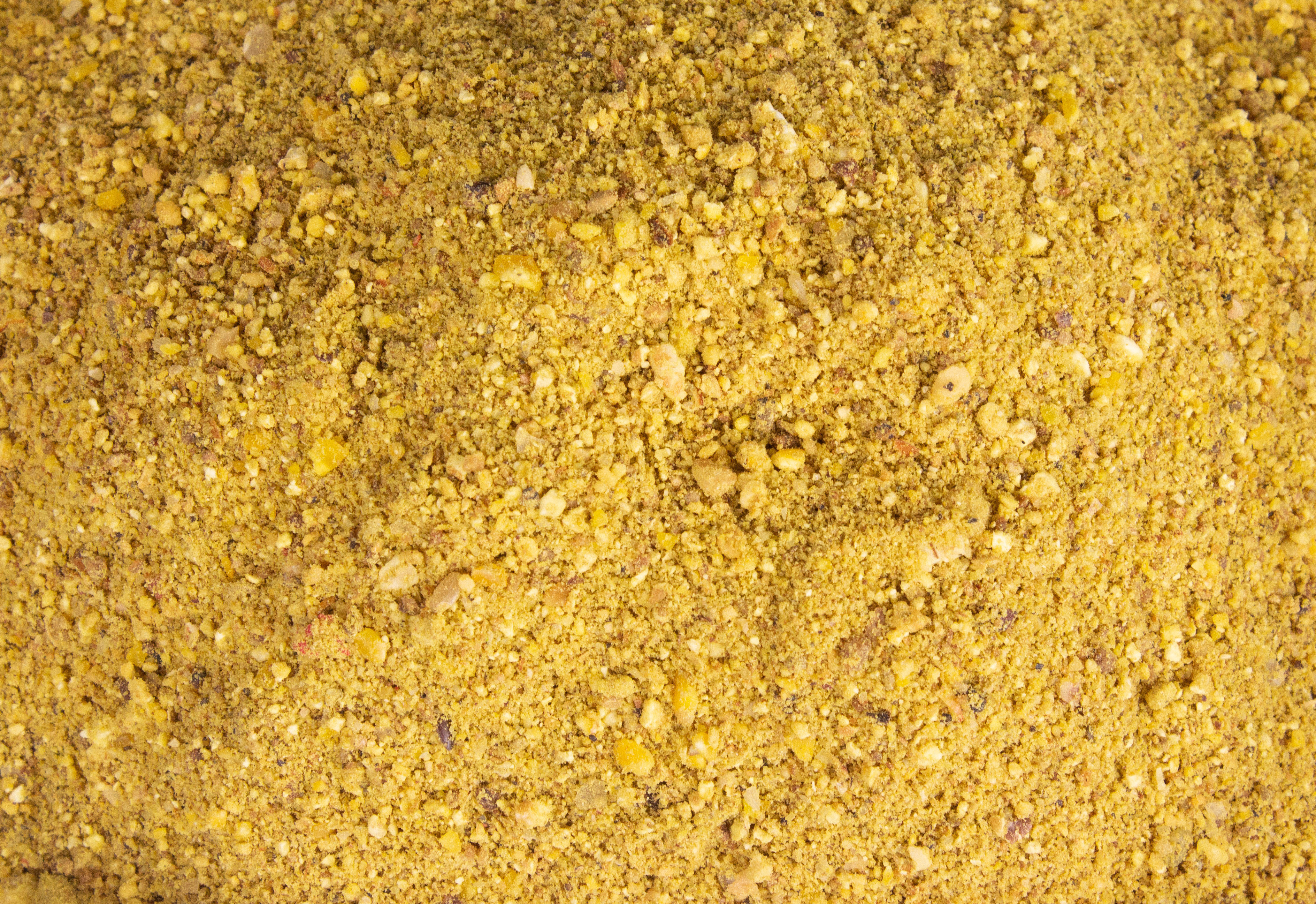 FTM World Champion Series Karpfen