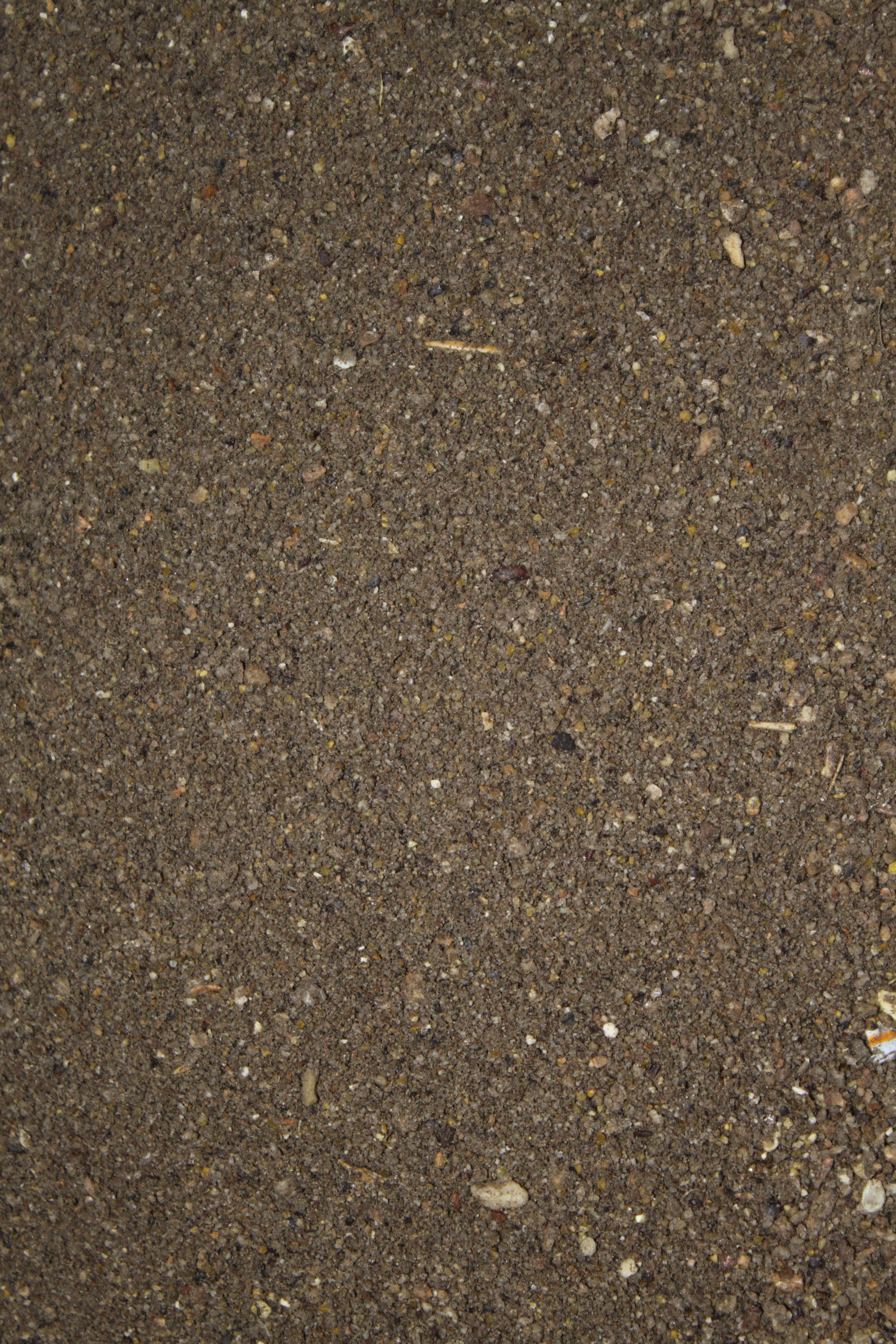 FTM Amino Flash Rotaugen Spezial