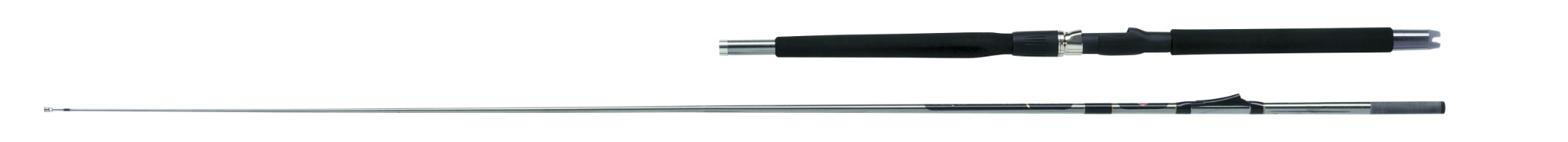 WFT Prion Inline