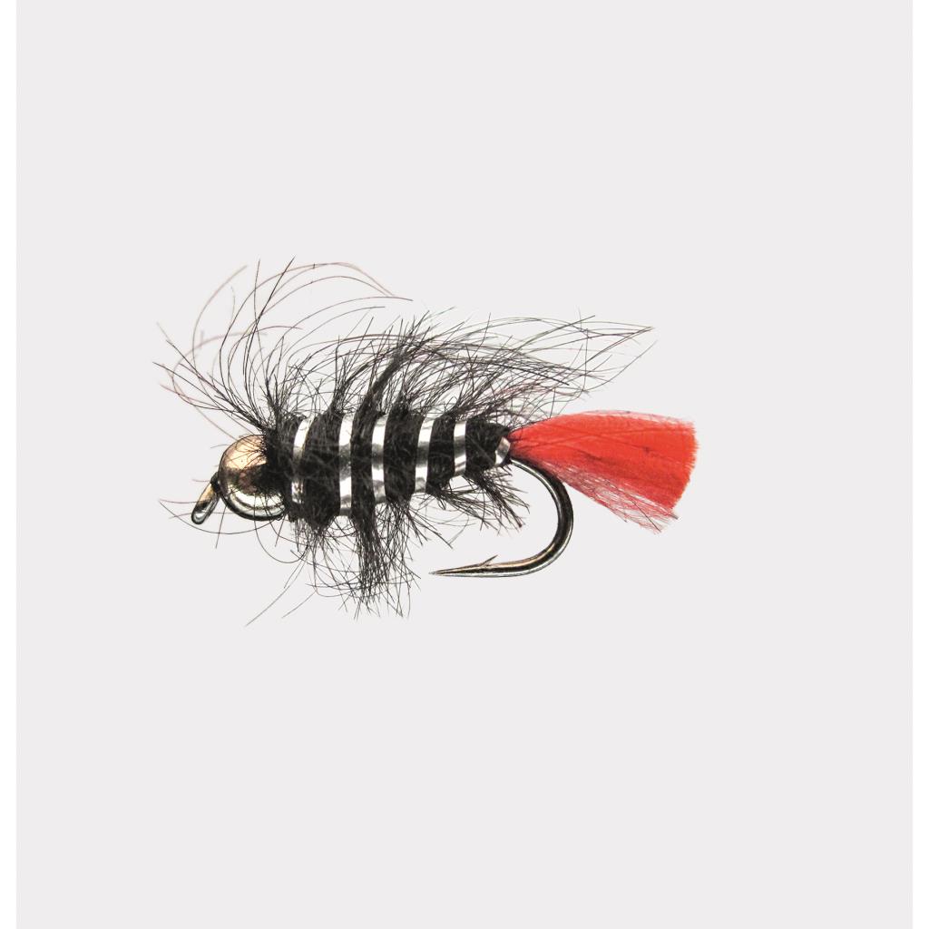 Jenzi Nymphe mit Goldkopf Black