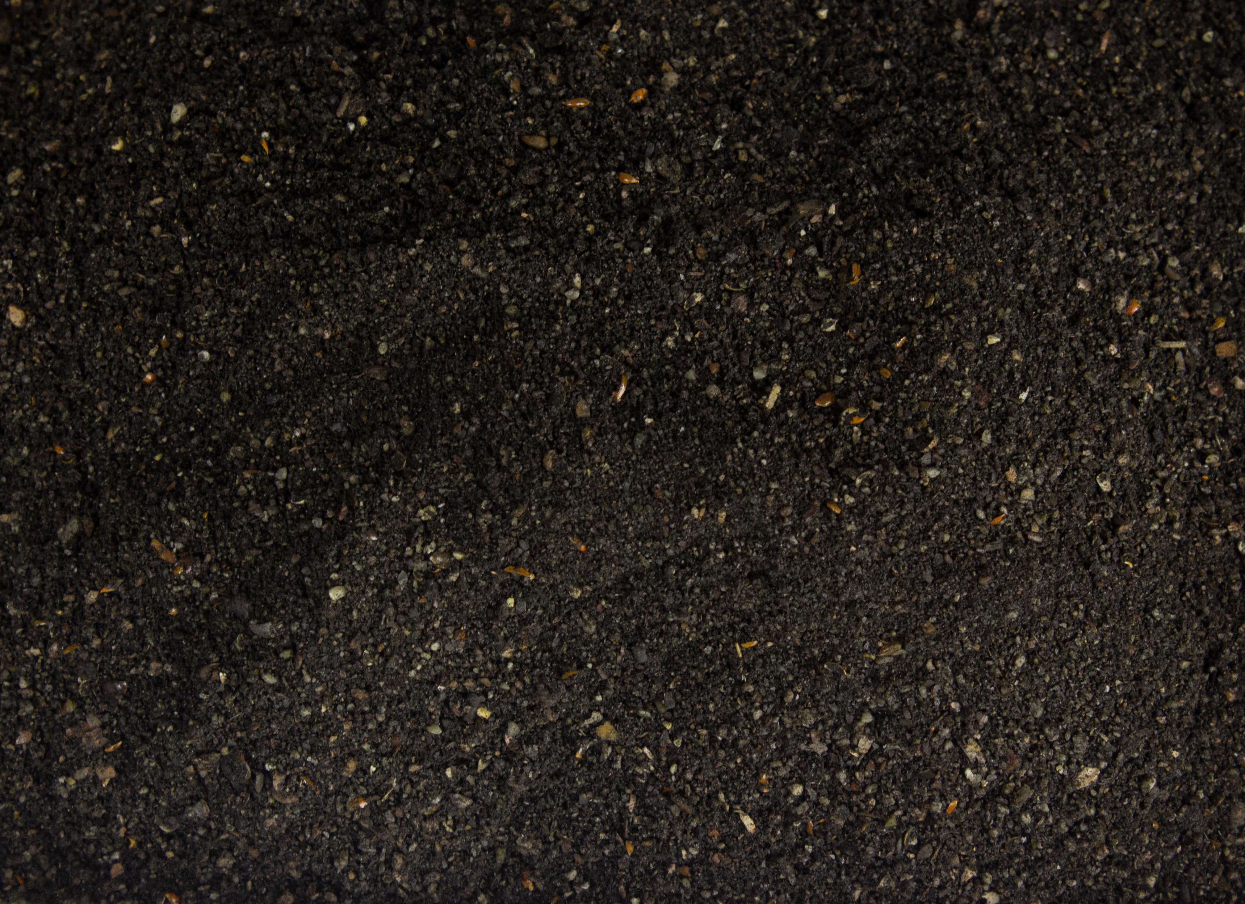 FTM World Champion Series Rotaugen