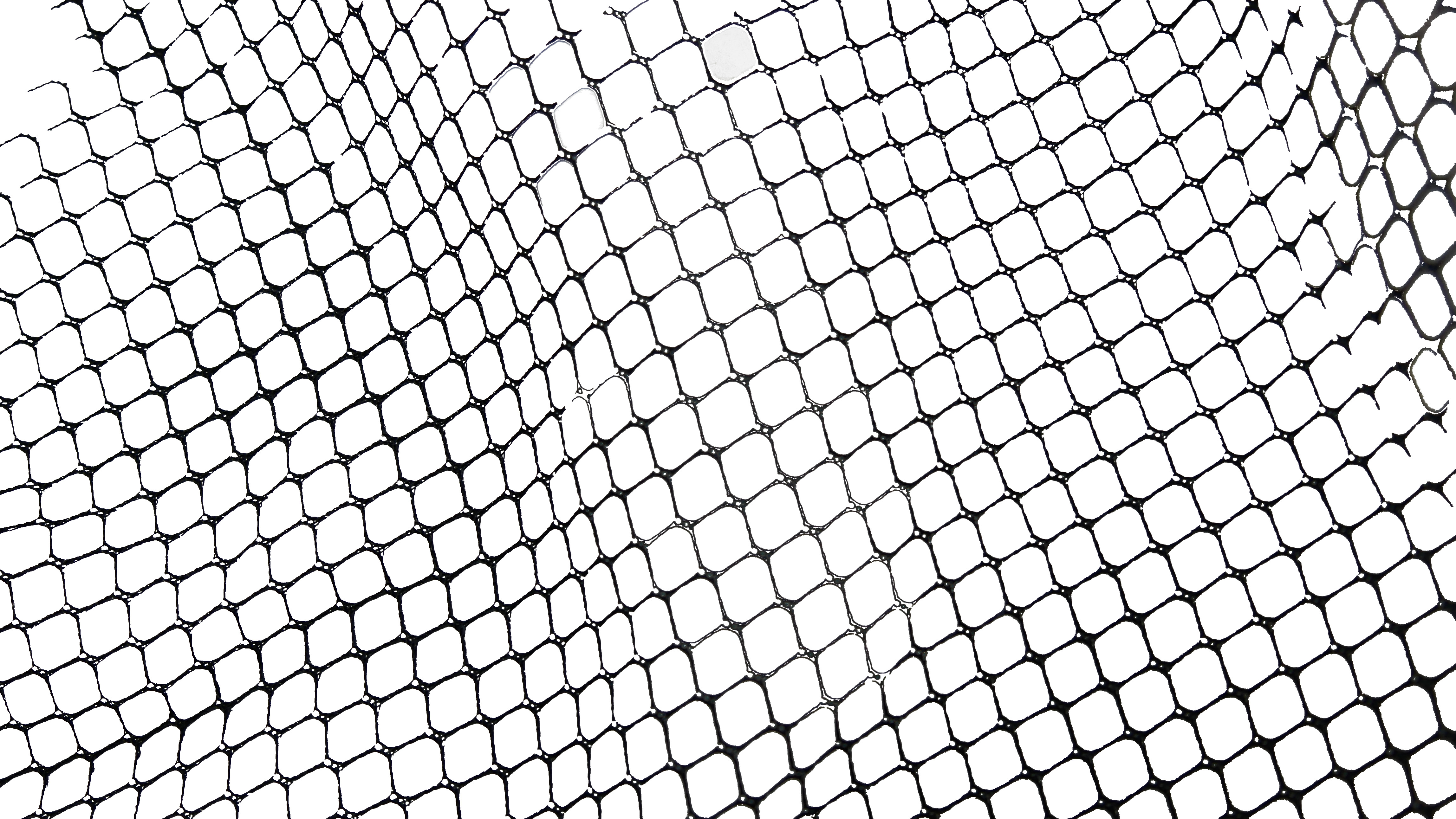 FTM Hecht-Karpfen Kescher gummiert tele